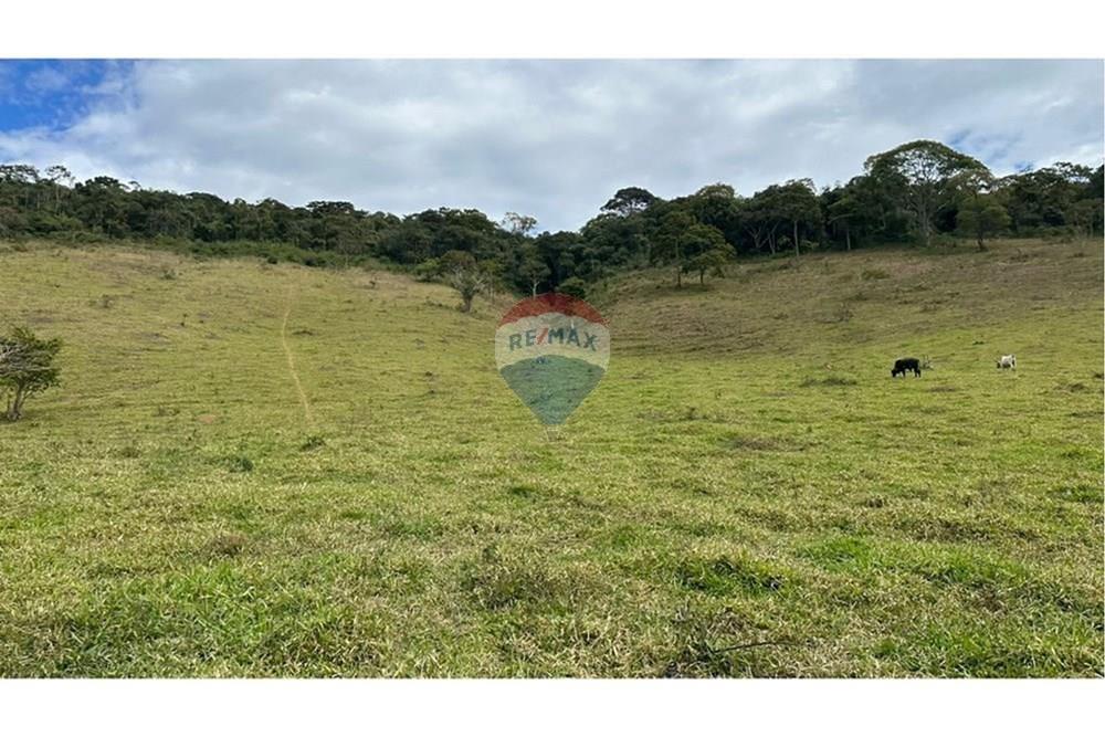 Chácara / Sítio / Fazenda - Venda - Lamim , Minas Gerais - L_49855099-169e-49cd-98f1-597054de5a55.jpg - 860291033-108