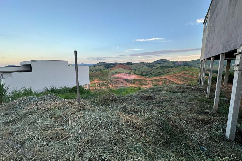 Terreno - Venda - Muriaé , Minas Gerais - WhatsApp Image 2025-02-26 at 18.15.54 (1).jpeg - Quintal - 860371007-85