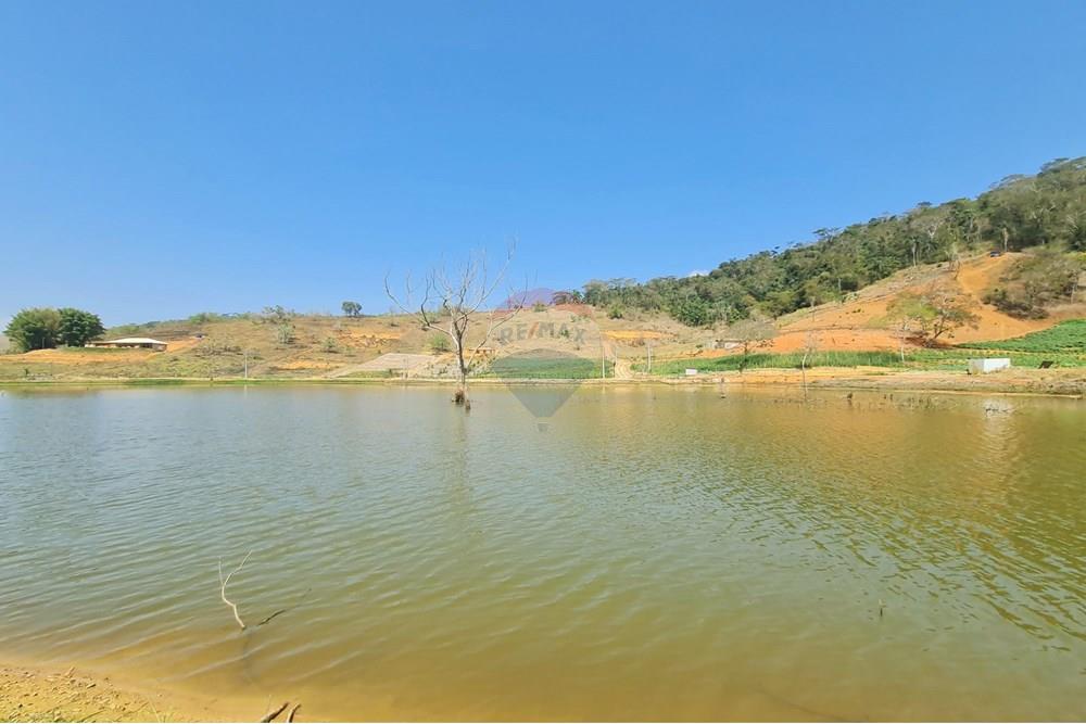 Chácara / Sítio / Fazenda - Venda - Patrocínio do Muriaé , Minas Gerais - 1000322322.jpg - 860371002-115