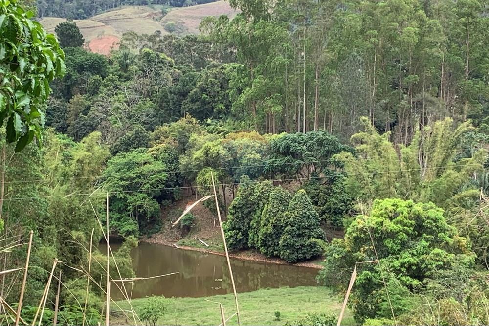 Terreno - Venda - Juiz de Fora , Minas Gerais - sebastiana10.jpg - 860271016-6