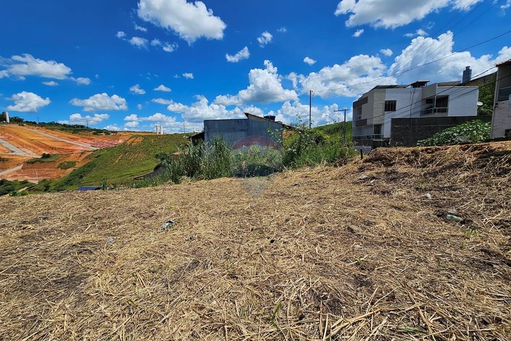 Terreno - Venda - Muriaé , Minas Gerais - 20260114_132835.jpg - 860371002-210