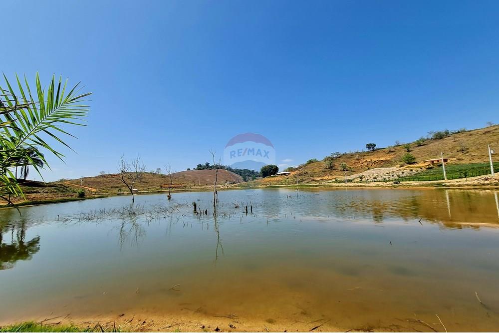 Chácara / Sítio / Fazenda - Venda - Patrocínio do Muriaé , Minas Gerais - 1000322320.jpg - 860371002-115