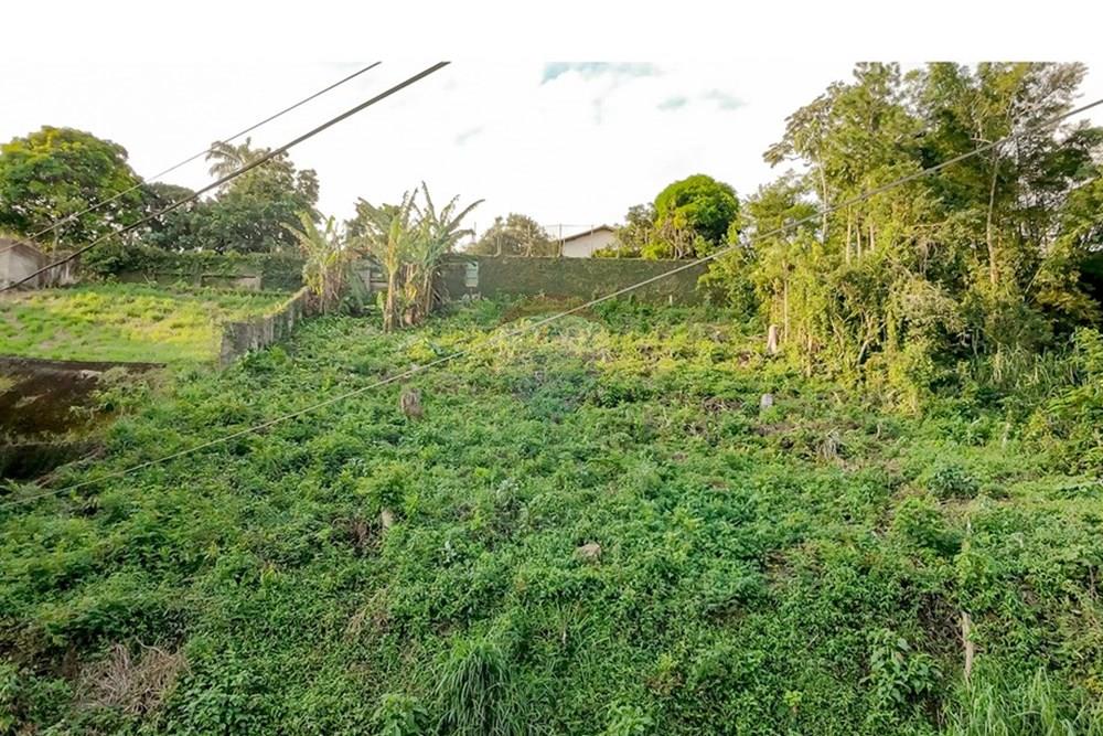 Terreno - Venda - Juiz de Fora , Minas Gerais - michaelseed.photo_ABRIL SEMANA 3-197.jpg - 860281136-6