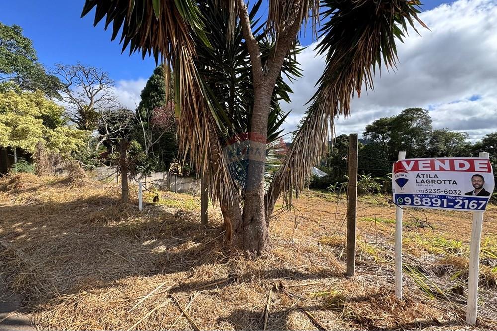Terreno - Venda - Juiz de Fora , Minas Gerais - IMG_0668.JPEG - 860301001-592
