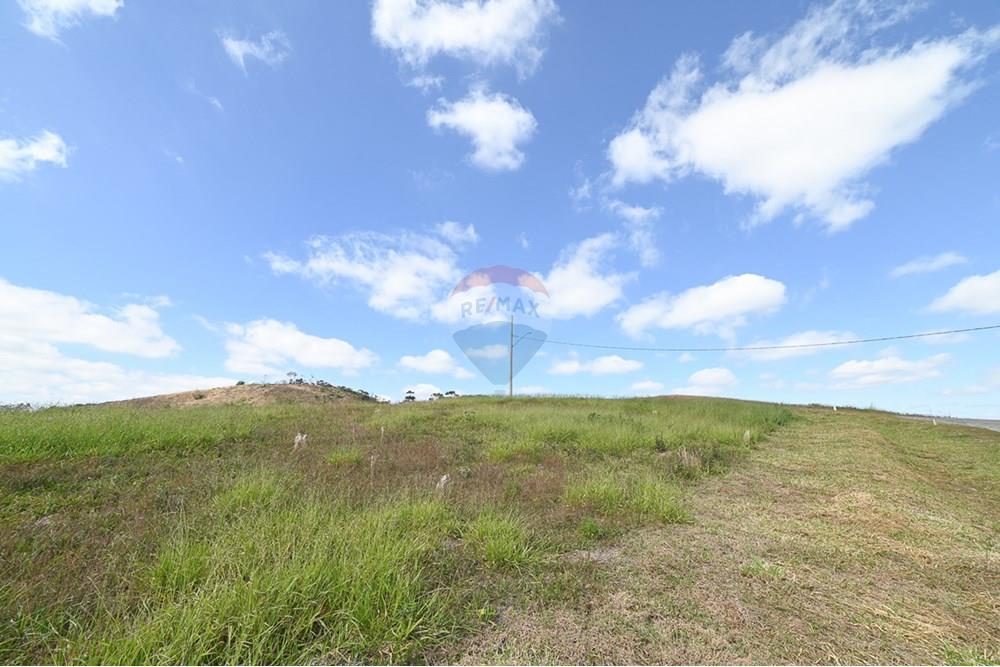 Terreno - Venda - Juiz de Fora , Minas Gerais - michaelseed photo_-377.jpg - Fachada - 860211077-197