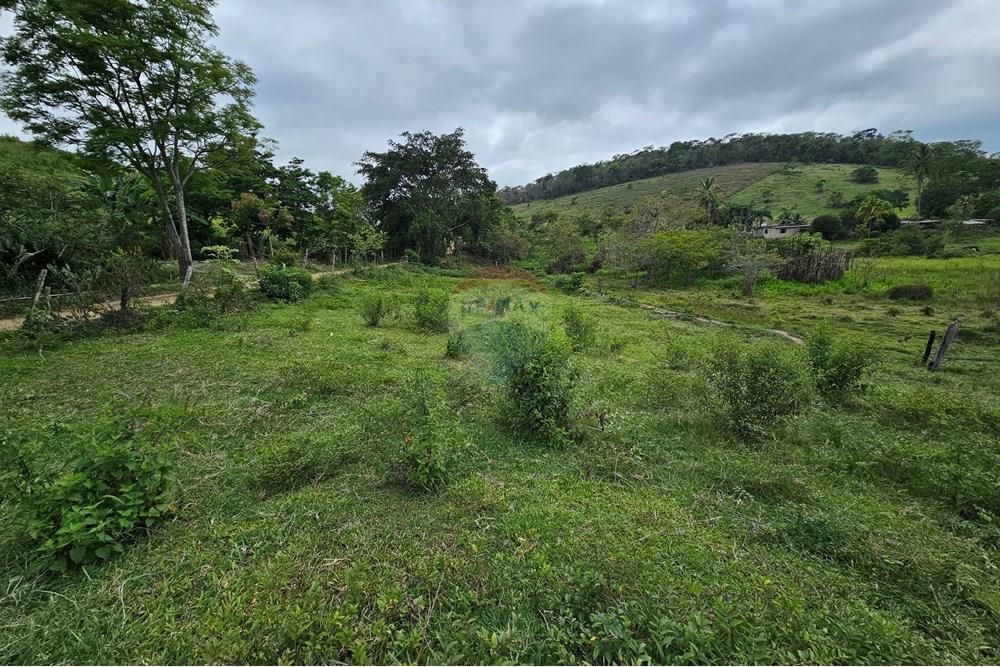 Terreno - Venda - Barão de Monte Alto , Minas Gerais - 20251207_080730.jpg - 860371002-205