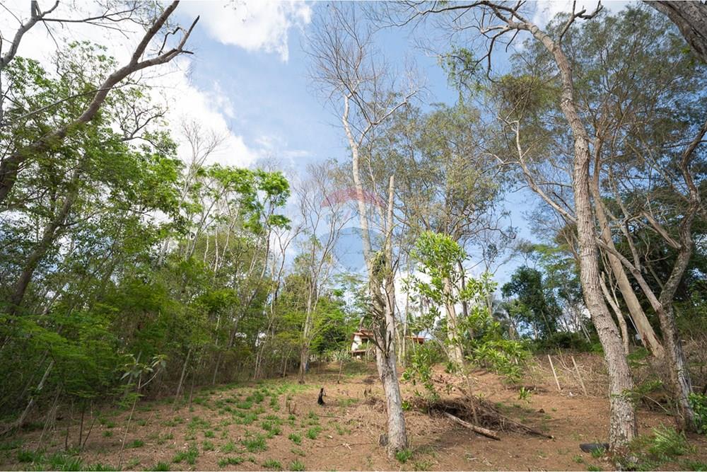 Terreno - Venda - Juiz de Fora , Minas Gerais - michaelseed photo_1103-13.jpg - 860211074-39