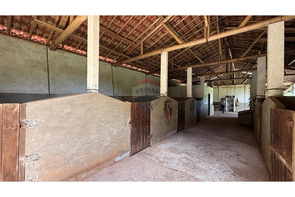 Chácara / Sítio / Fazenda - Venda - Lima Duarte , Minas Gerais - IMG_0843.jpg - 860291041-36