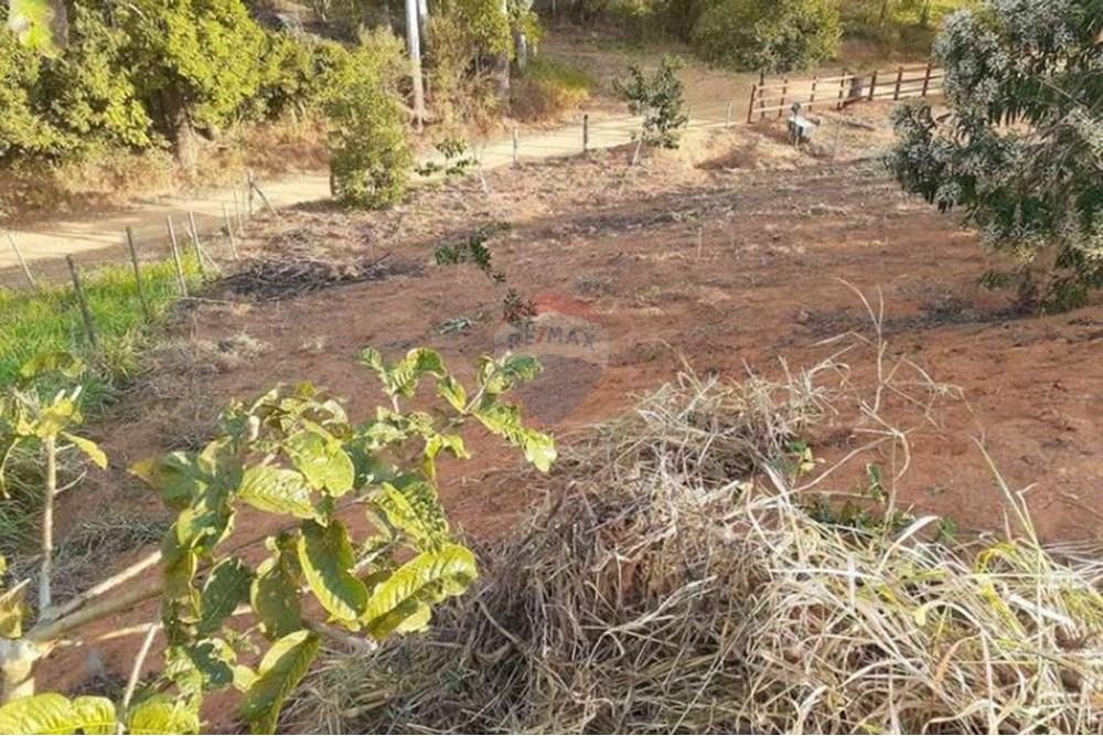 Terreno - Venda - Coronel Pacheco , Minas Gerais - 6-10.jpeg - 860271015-16