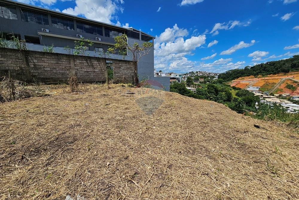 Terreno - Venda - Muriaé , Minas Gerais - 20260114_132741.jpg - 860371002-210