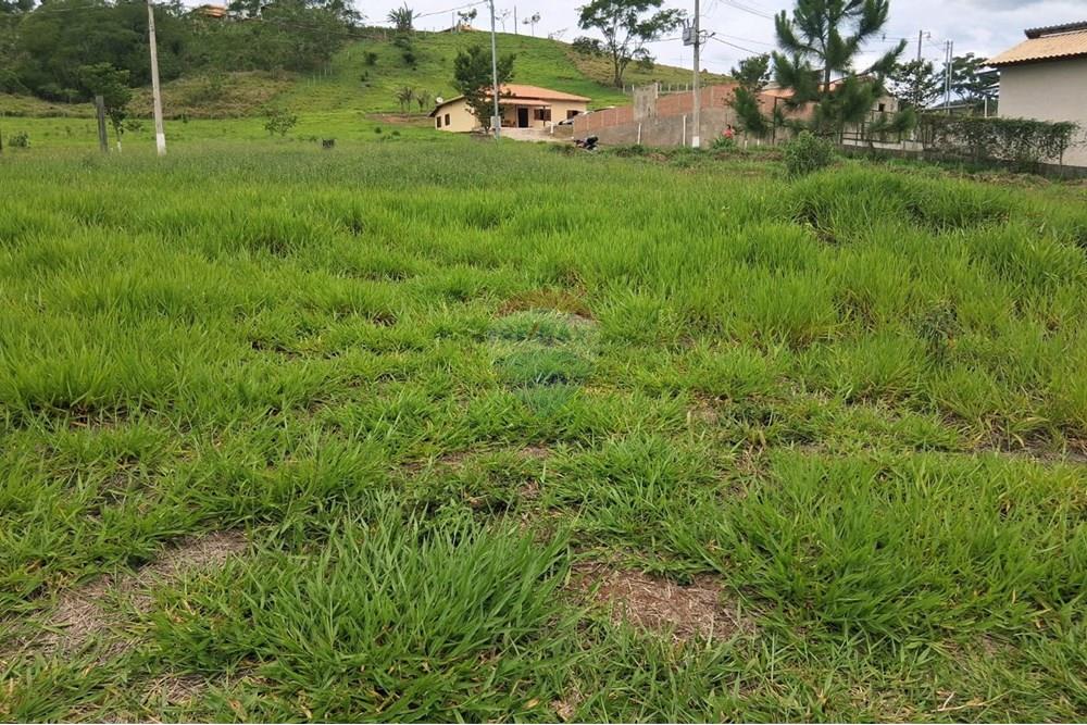 Terreno - Venda - Belmiro Braga , Minas Gerais - WhatsApp Image 2025-12-14 at 20.53.19.jpeg - 860281098-64