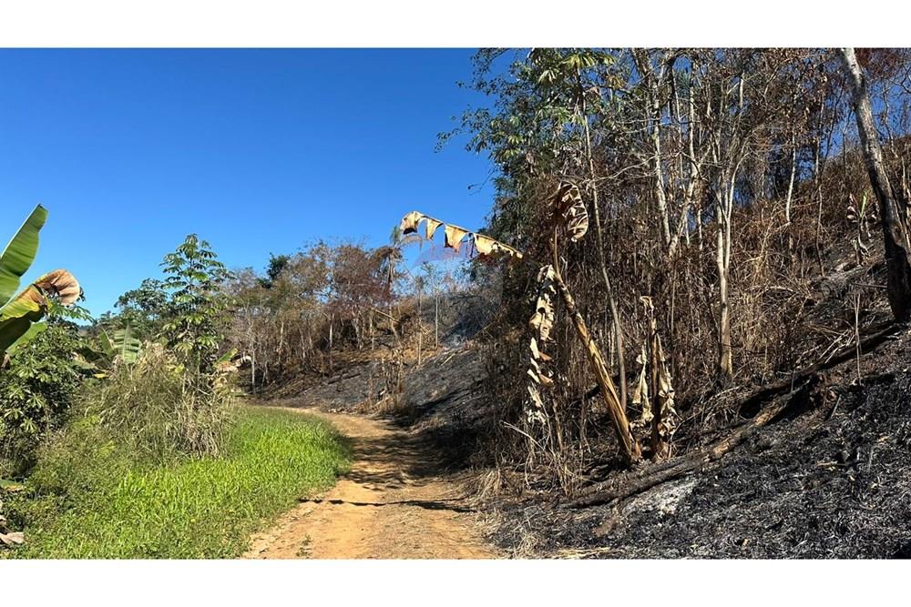 Terreno - Venda - Piau , Minas Gerais - 93ac8b9d-f33f-4a58-952a-bffea0560157.jpg - 860211053-60