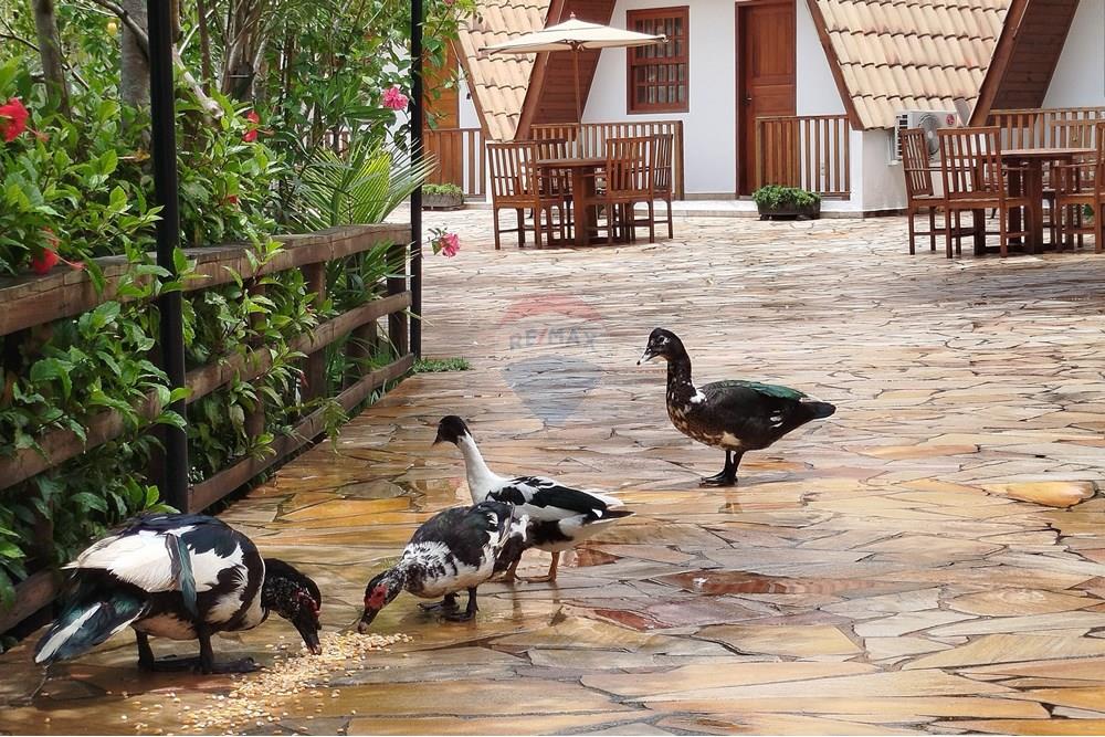 Hotel/ Pousada - Venda - Tiradentes , Minas Gerais - IMG_20250131_120143.jpg - 860391012-33