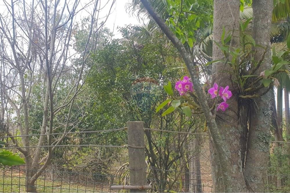 Chácara / Sítio / Fazenda - Venda - Barbacena , Minas Gerais - WhatsApp Image 2025-11-17 at 14.43.28 (25).jpeg - 860391028-24