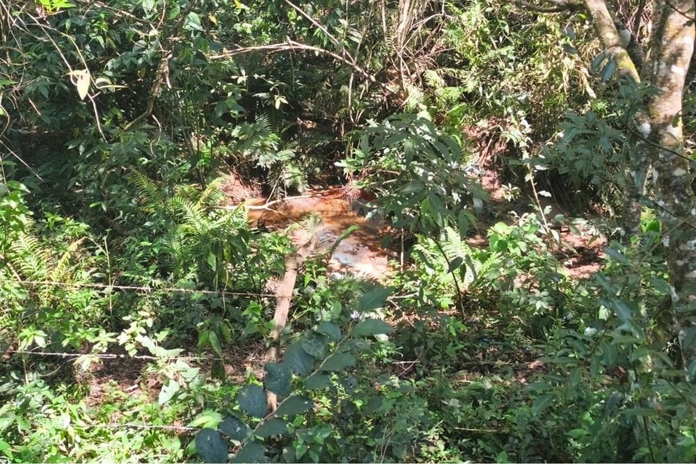 Chácara / Sítio / Fazenda - Venda - Lavras , Minas Gerais - WhatsApp Image 2026-04-08 at 17.33.34 (1).jpeg - 860471037-28