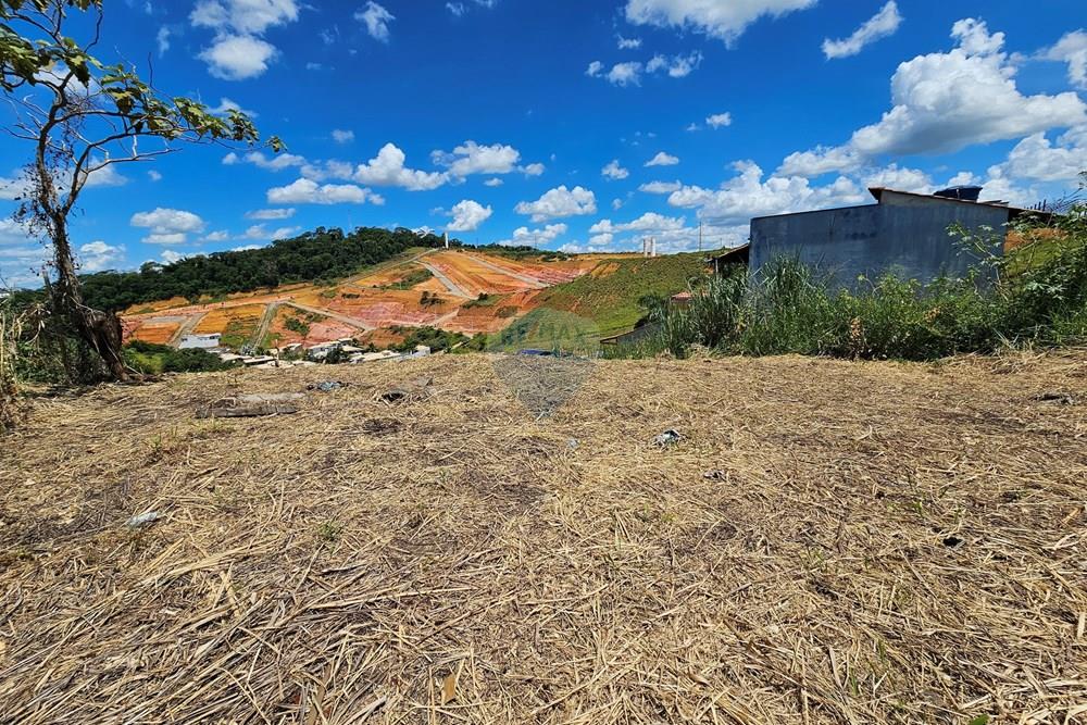 Terreno - Venda - Muriaé , Minas Gerais - 20260114_132834.jpg - 860371002-210