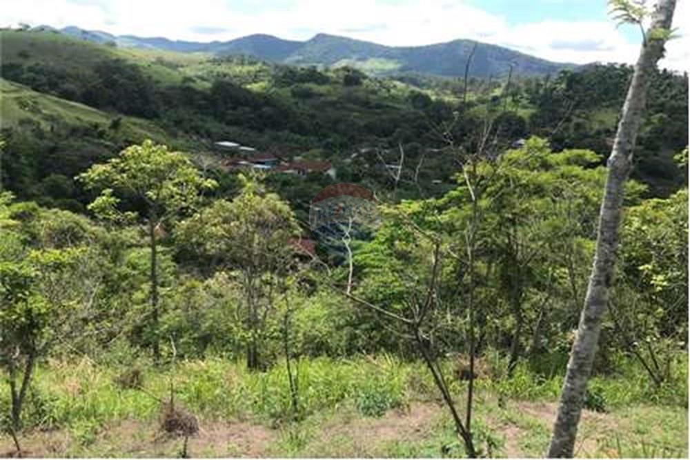 Chácara / Sítio / Fazenda - Venda - Matias Barbosa , Minas Gerais - L_cff028aca40547ec9c018933d1a3c3a7.jpg - 860291033-113