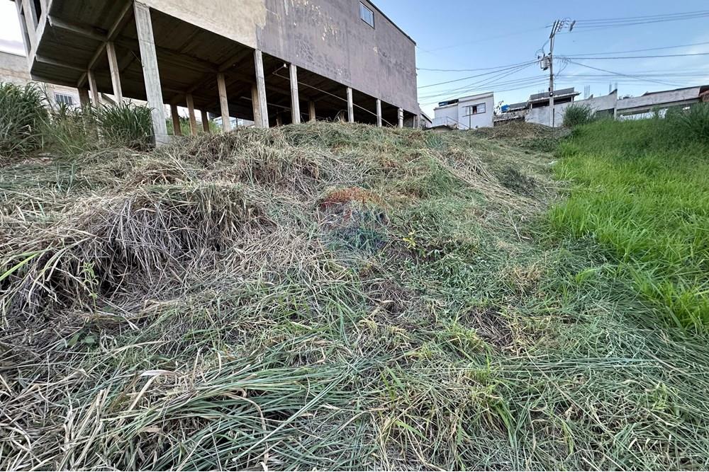 Terreno - Venda - Muriaé , Minas Gerais - WhatsApp Image 2025-02-26 at 18.15.55.jpeg - Layout aberto - 860371007-85