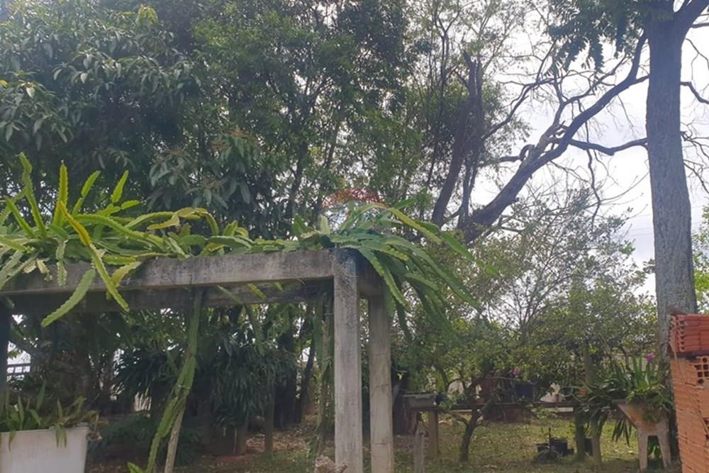 Chácara / Sítio / Fazenda - Venda - Barbacena , Minas Gerais - WhatsApp Image 2025-11-17 at 14.43.28 (28).jpeg - 860391028-24