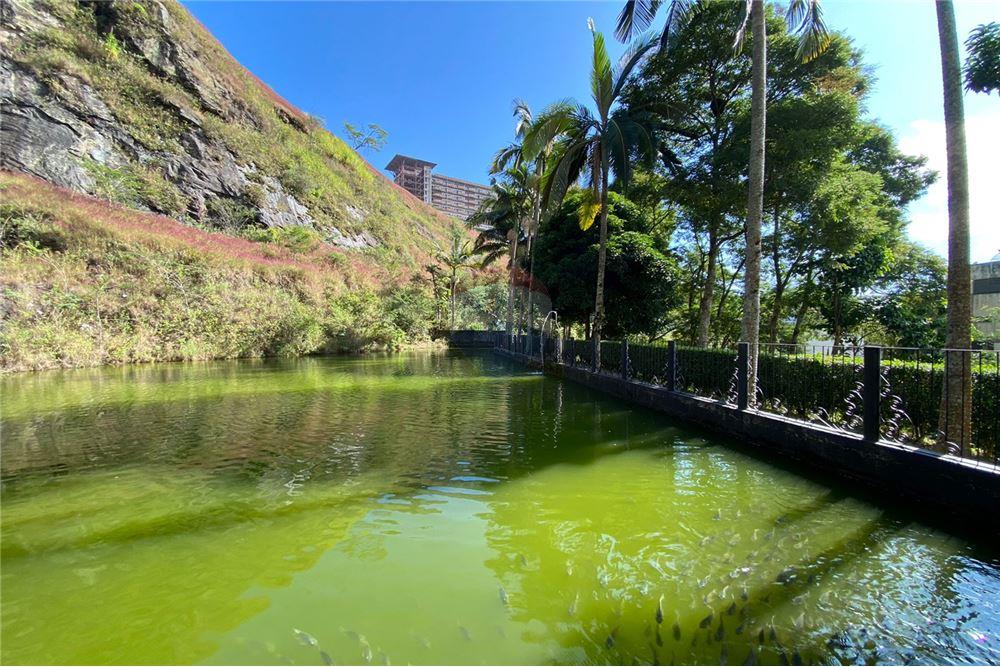 Apartamento - Alugar - Juiz de Fora , Minas Gerais - 39 - 860301009-506