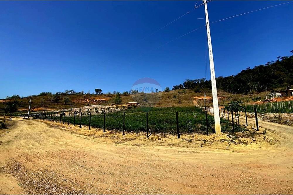 Chácara / Sítio / Fazenda - Venda - Patrocínio do Muriaé , Minas Gerais - 1000323677.jpg - 860371002-115