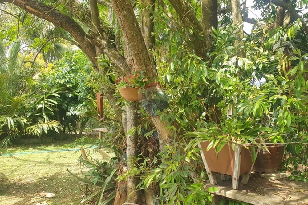 Chácara / Sítio / Fazenda - Venda - Barbacena , Minas Gerais - WhatsApp Image 2025-11-17 at 14.43.28 (20).jpeg - 860391028-24