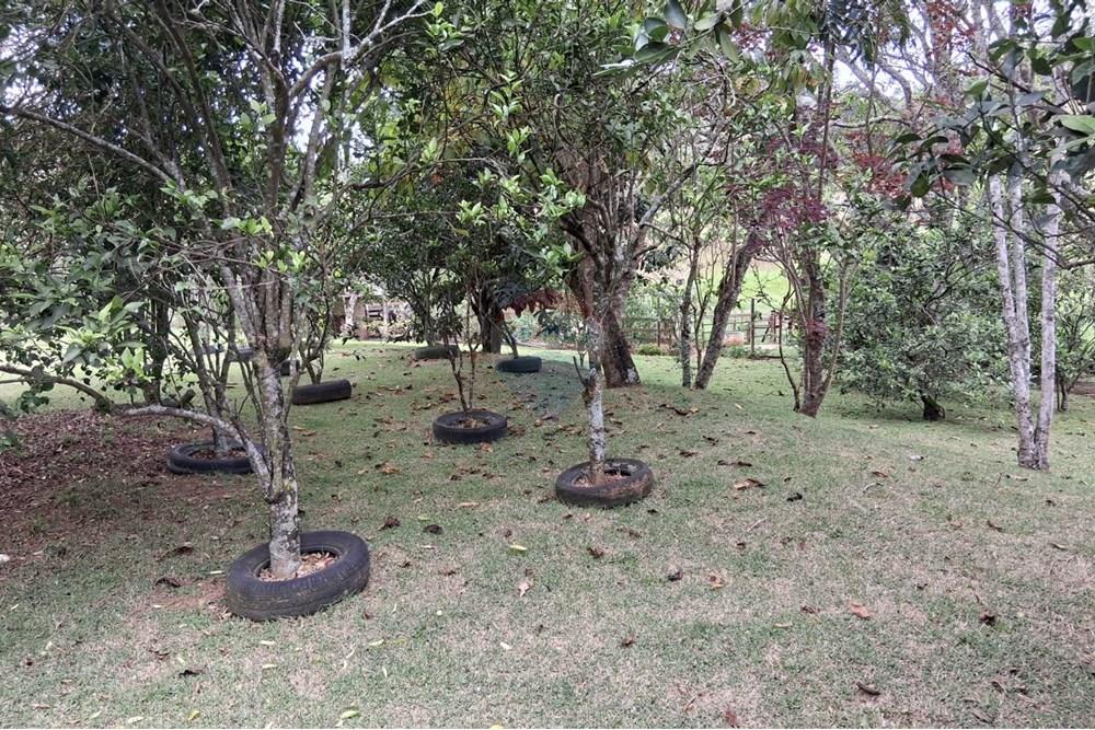 Chácara / Sítio / Fazenda - Venda - Juiz de Fora , Minas Gerais - WhatsApp Image 2025-11-18 at 21.05.42.jpeg - 860281098-63