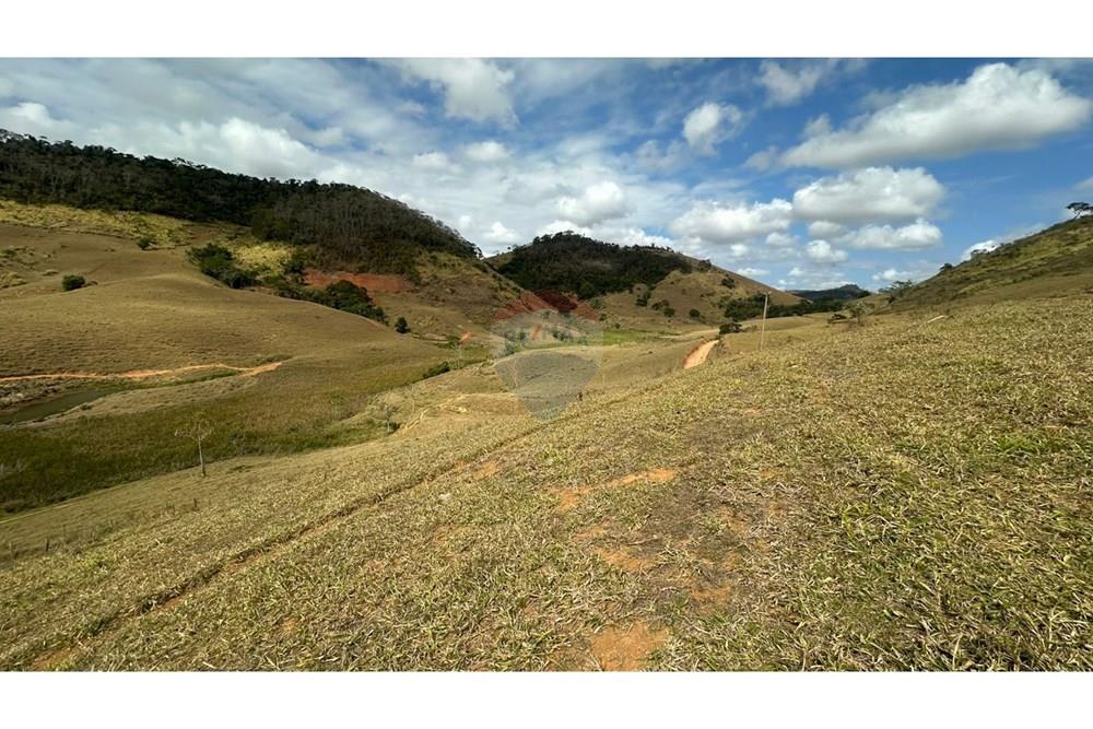 Chácara / Sítio / Fazenda - Venda - Leopoldina , Minas Gerais - WhatsApp Image 2025-09-22 at 10.32.49.jpeg - 860291033-118