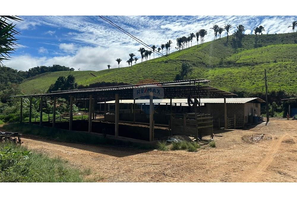 Chácara / Sítio / Fazenda - Venda - Juiz de Fora , Minas Gerais - 3134abf6-7cbe-4018-9592-594d510bd331.JPG - 860291033-68