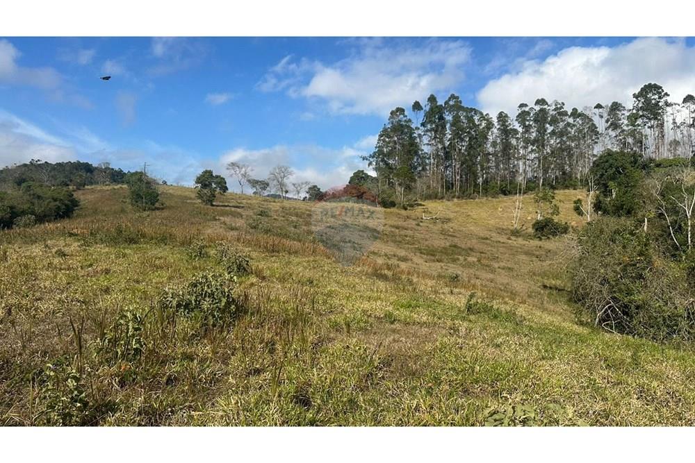 Terreno - Venda - Juiz de Fora , Minas Gerais - 087fcdb9-2af1-4f2a-8a7c-9a6de3400d0c.JPG - 860291033-116