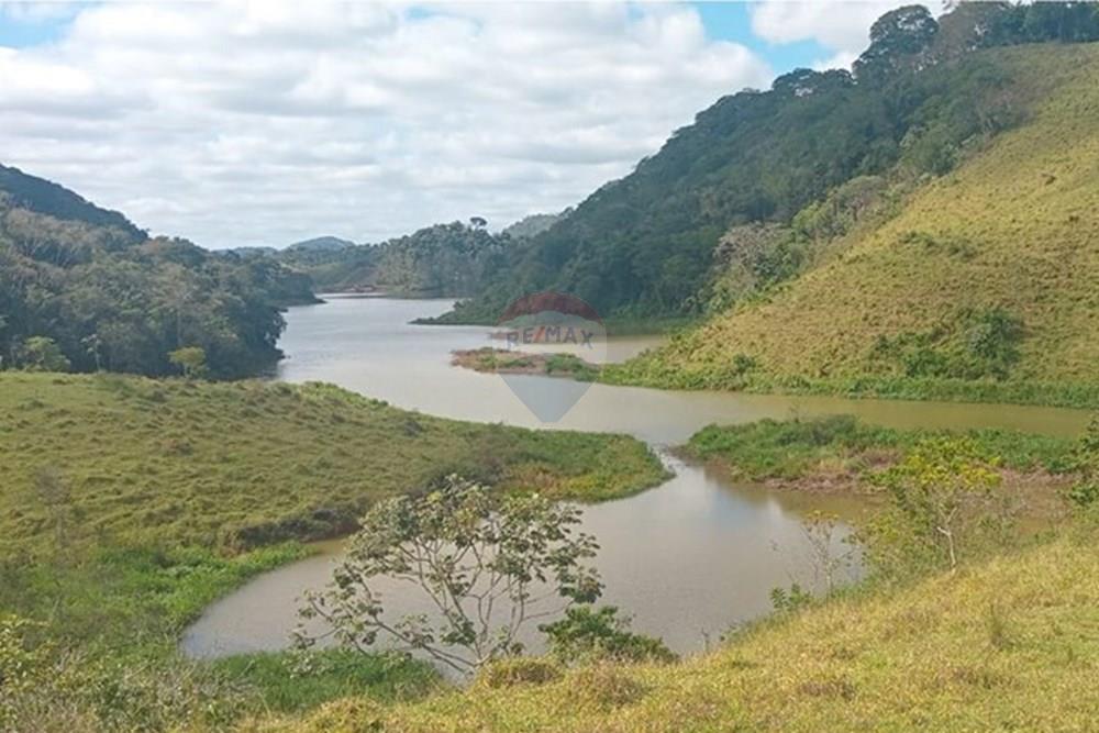 Chácara / Sítio / Fazenda - Venda - Piau , Minas Gerais - WhatsApp Image 2025-06-27 at 19.33.37 (1).jpeg - 860281098-54