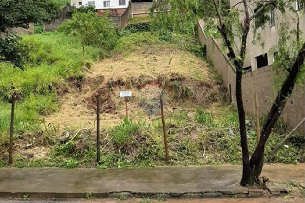 Terreno - Venda - Juiz de Fora , Minas Gerais - WhatsApp Image 2025-11-10 at 11.48.59.jpeg - 860281158-1