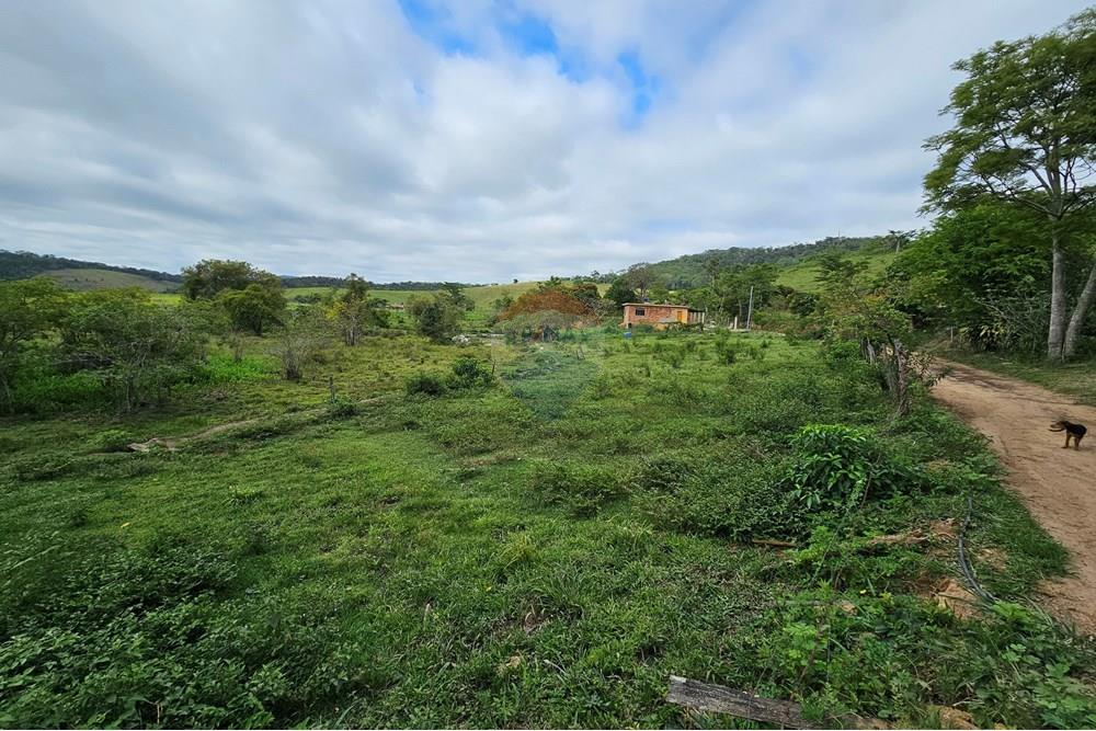 Terreno - Venda - Barão de Monte Alto , Minas Gerais - 20251207_080913.jpg - 860371002-205