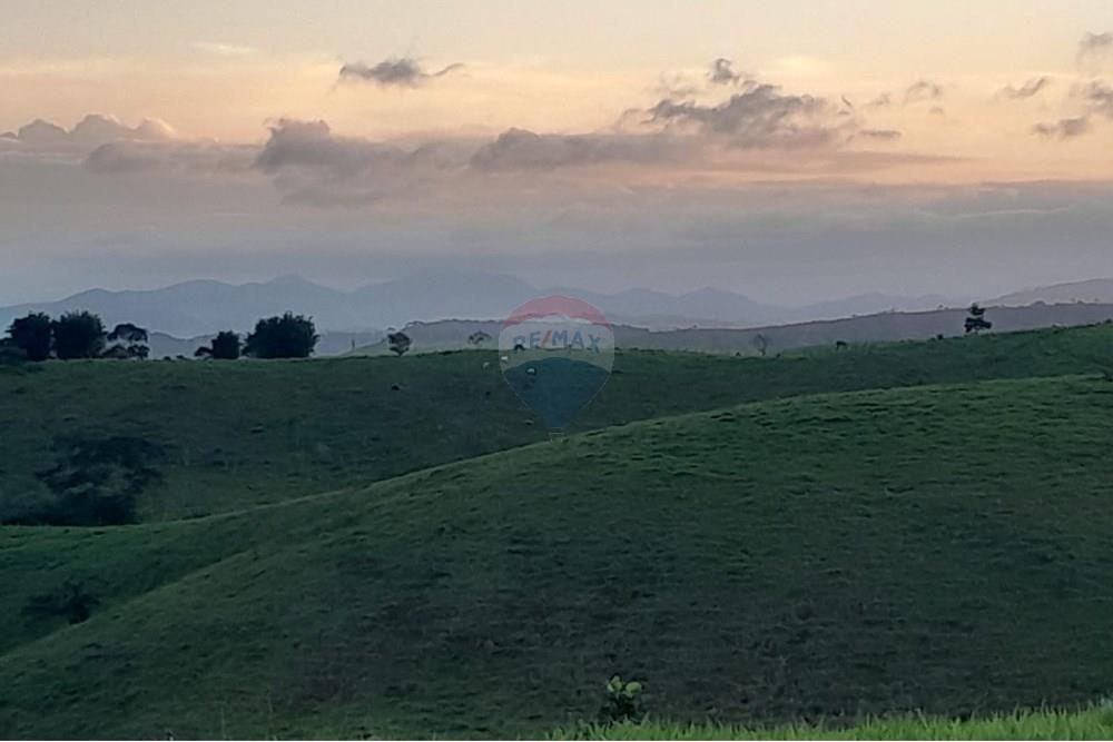 Terreno - Venda - Matias Barbosa , Minas Gerais - WhatsApp Image 2025-05-01 at 20.28.12(4).jpeg - Quintal - 860381043-64