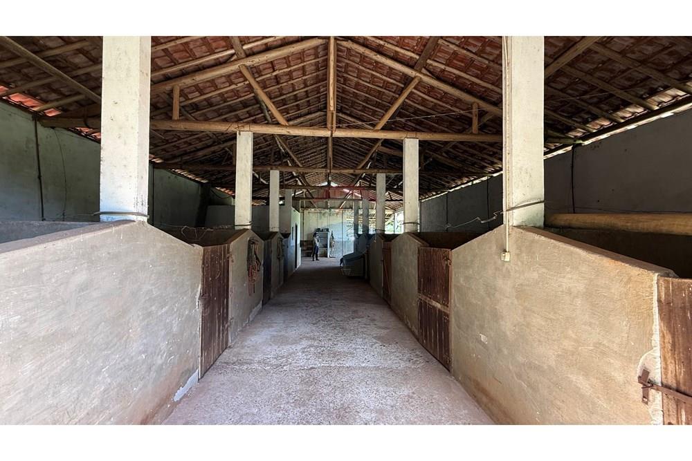 Chácara / Sítio / Fazenda - Venda - Lima Duarte , Minas Gerais - IMG_0840.jpg - 860291041-36