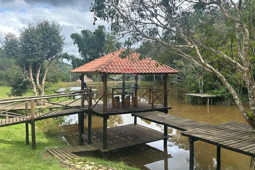 Chácara / Sítio / Fazenda - Venda - Mercês , Minas Gerais - WhatsApp Image 2025-02-18 at 15.49.52.jpeg - 860291033-77