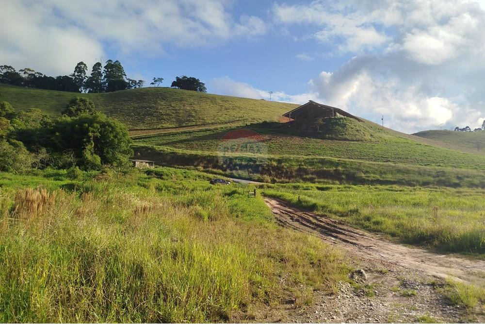 Fazenda - Venda - Barbacena , Minas Gerais - IMG_20250421_161317.jpg - 860391012-32