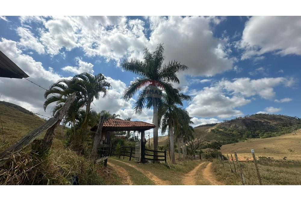 Chácara / Sítio / Fazenda - Venda - Leopoldina , Minas Gerais - WhatsApp Image 2025-09-22 at 10.32.42 (1).jpeg - 860291033-118