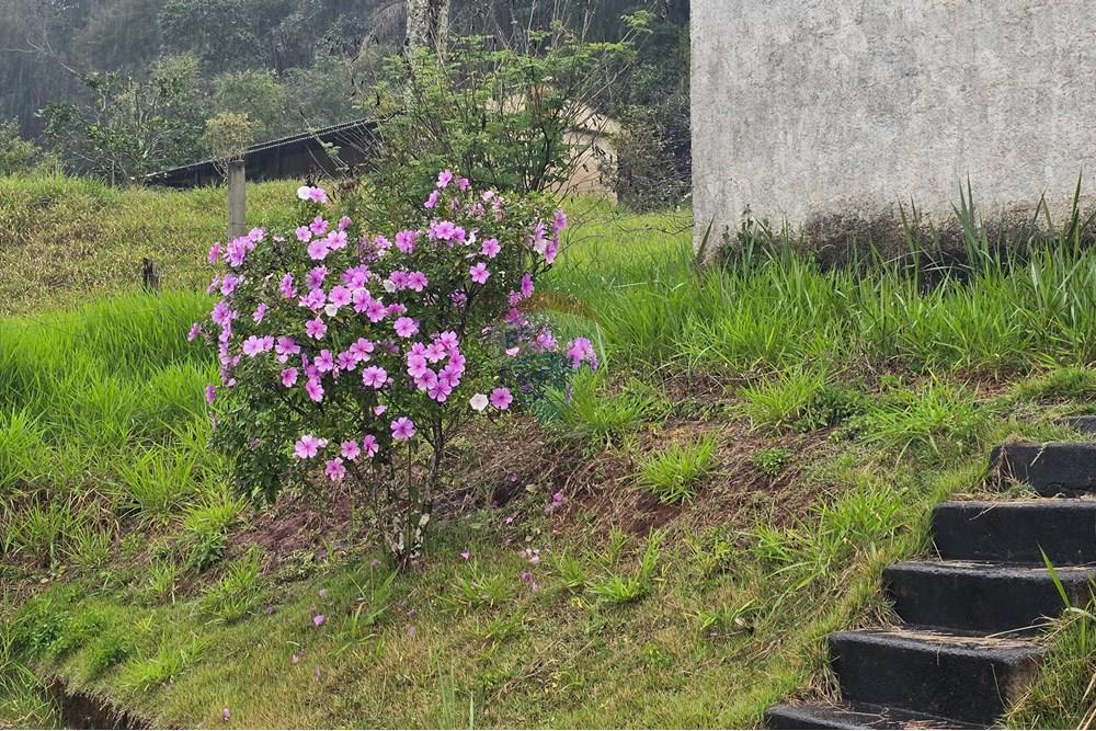 Chácara / Sítio / Fazenda - Venda - Juiz de Fora , Minas Gerais - 38.jpg - 860381070-74