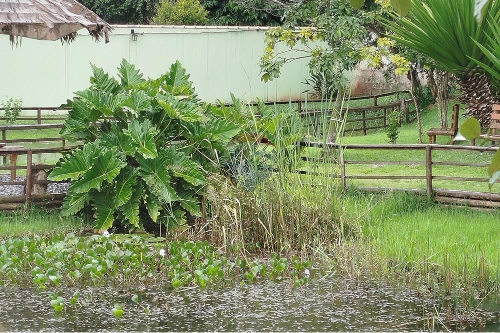 Hotel/ Pousada - Venda - Tiradentes , Minas Gerais - IMG_20250131_114254.jpg - 860391012-33