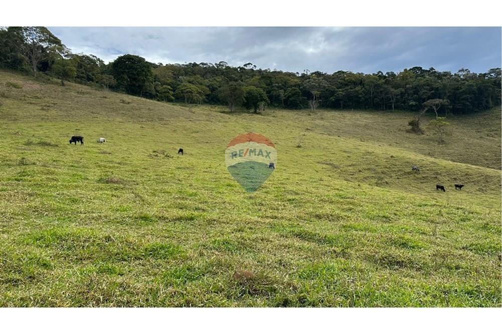 Chácara / Sítio / Fazenda - Venda - Lamim , Minas Gerais - L_5d419dae-9cdd-499d-904d-5ebd04e7fb51.jpg - 860291033-108