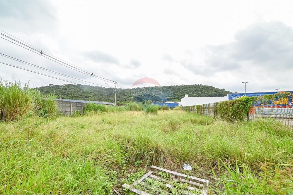 Terreno - Venda - Juiz de Fora , Minas Gerais - michaelseed photo_ SEMANA 5 - DIA 2-3.jpg - 860431060-33