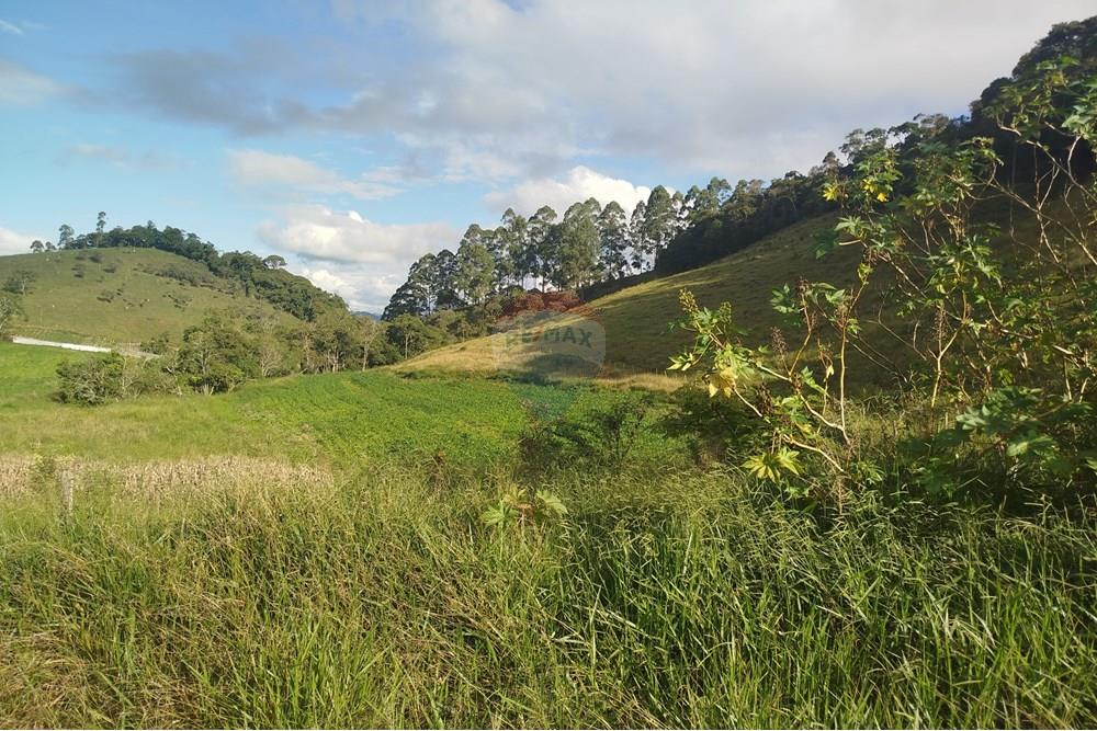 Fazenda - Venda - Barbacena , Minas Gerais - IMG_20250421_154031.jpg - 860391012-32
