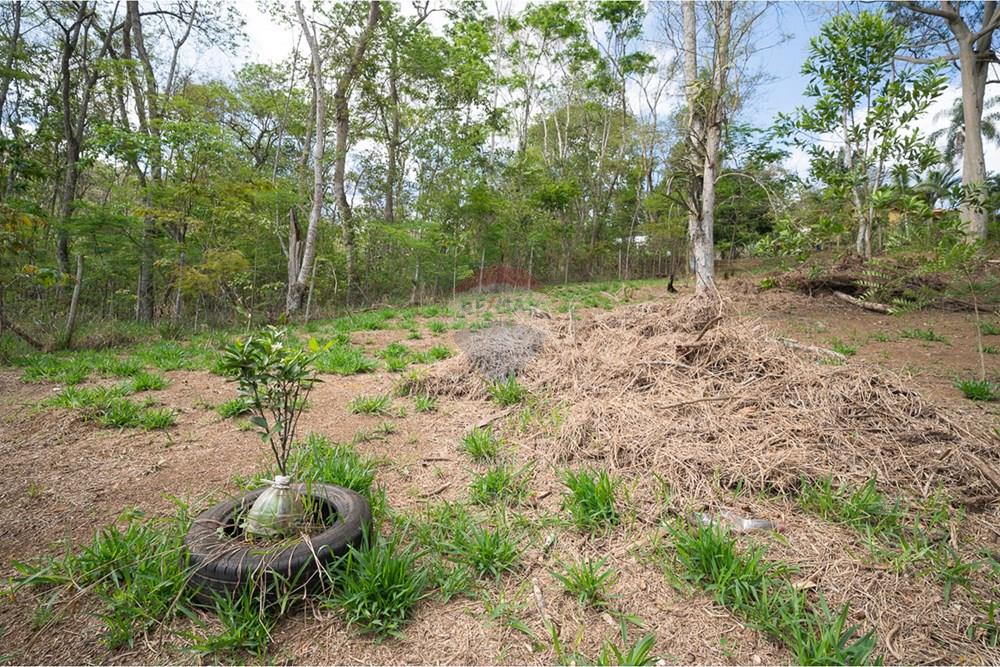 Terreno - Venda - Juiz de Fora , Minas Gerais - michaelseed photo_1103-14.jpg - 860211074-39