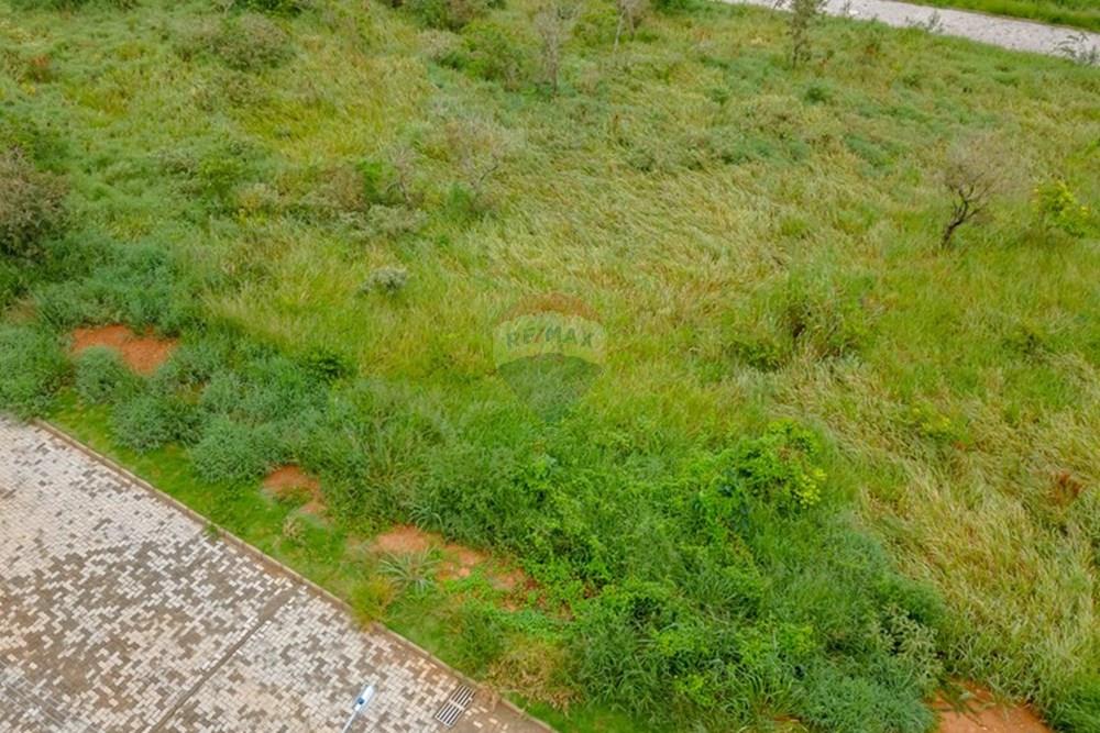 Terreno - Venda - Matias Barbosa , Minas Gerais - DIA 1 - SEMANA 5-5-2.jpg - 860281090-200