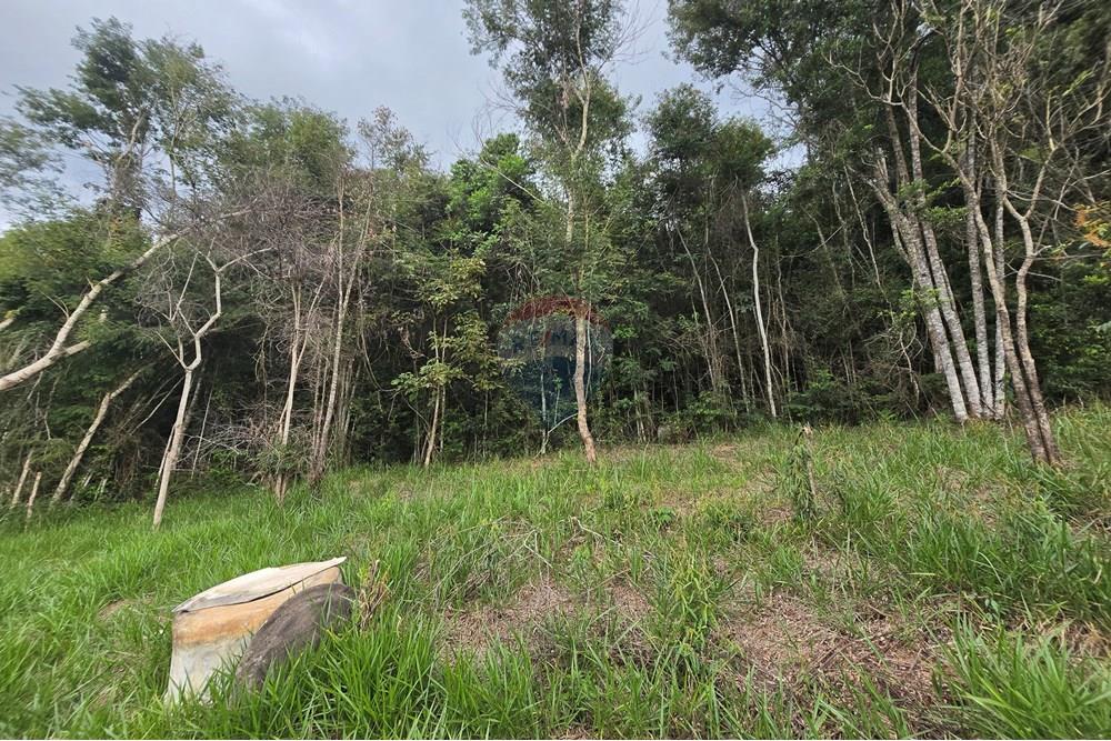 Chácara / Sítio / Fazenda - Venda - Juiz de Fora , Minas Gerais - 10 (2).jpg - 860381070-74