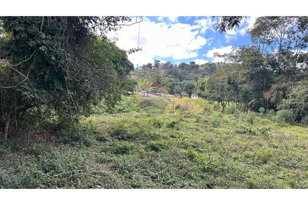 Terreno - Venda - Juiz de Fora , Minas Gerais - c2ed937c-460b-4560-8b9a-80b222839598.JPG - 860291033-116