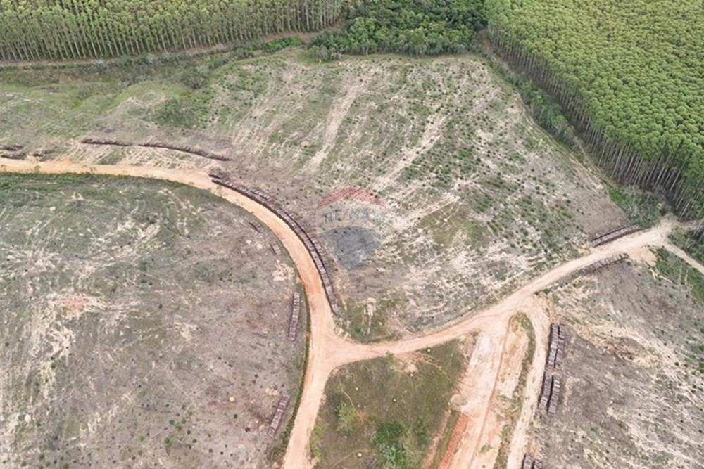 Terreno - Venda - Lima Duarte , Minas Gerais - WhatsApp Image 2026-03-02 at 18.30.04 (2).jpeg - 860291033-138