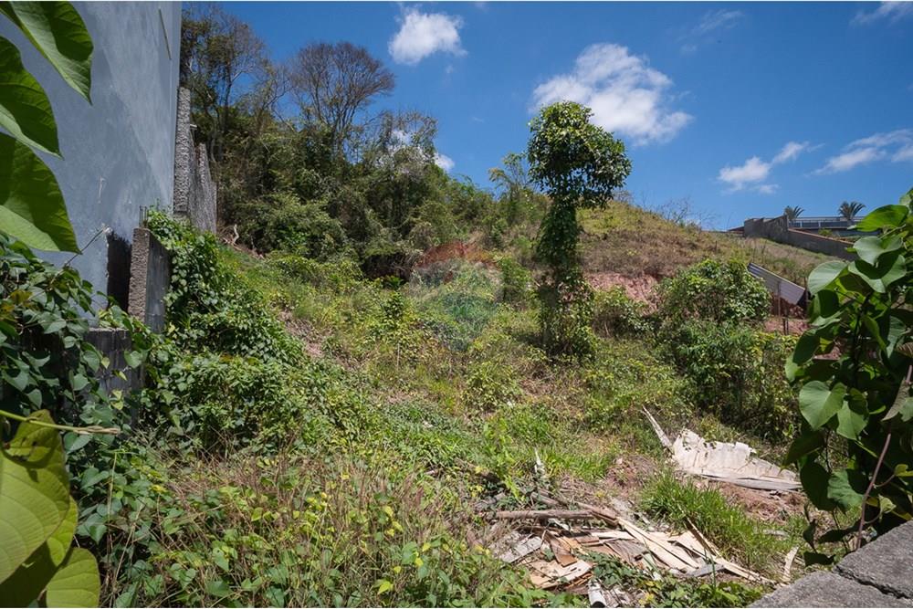 Terreno - Venda - Juiz de Fora , Minas Gerais - michaelseed photo_SEMANA 2 11-47.jpg - 860211077-208