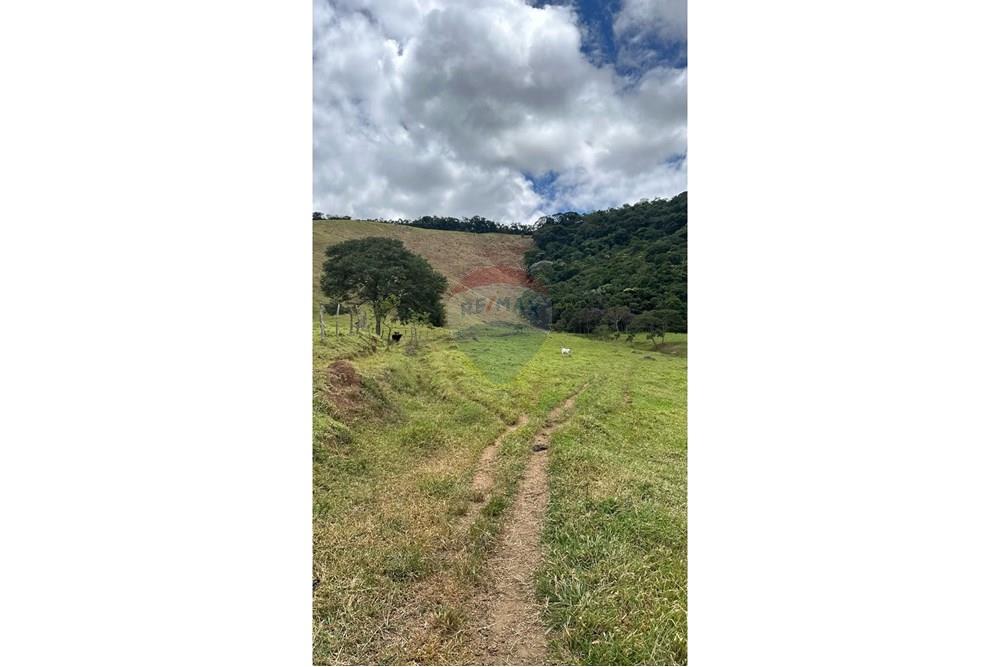 Chácara / Sítio / Fazenda - Venda - Lima Duarte , Minas Gerais - WhatsApp Image 2025-03-31 at 08.26.10 (1).jpeg - 860291033-87